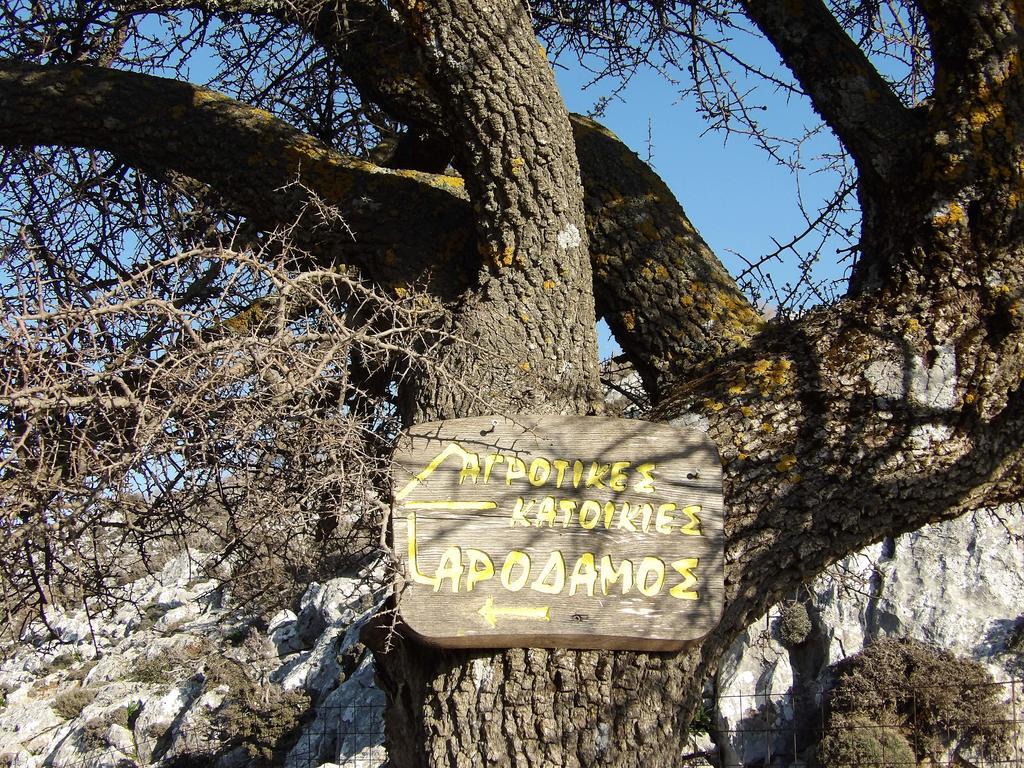 Arodamos Guesthouse Krousonas  エクステリア 写真